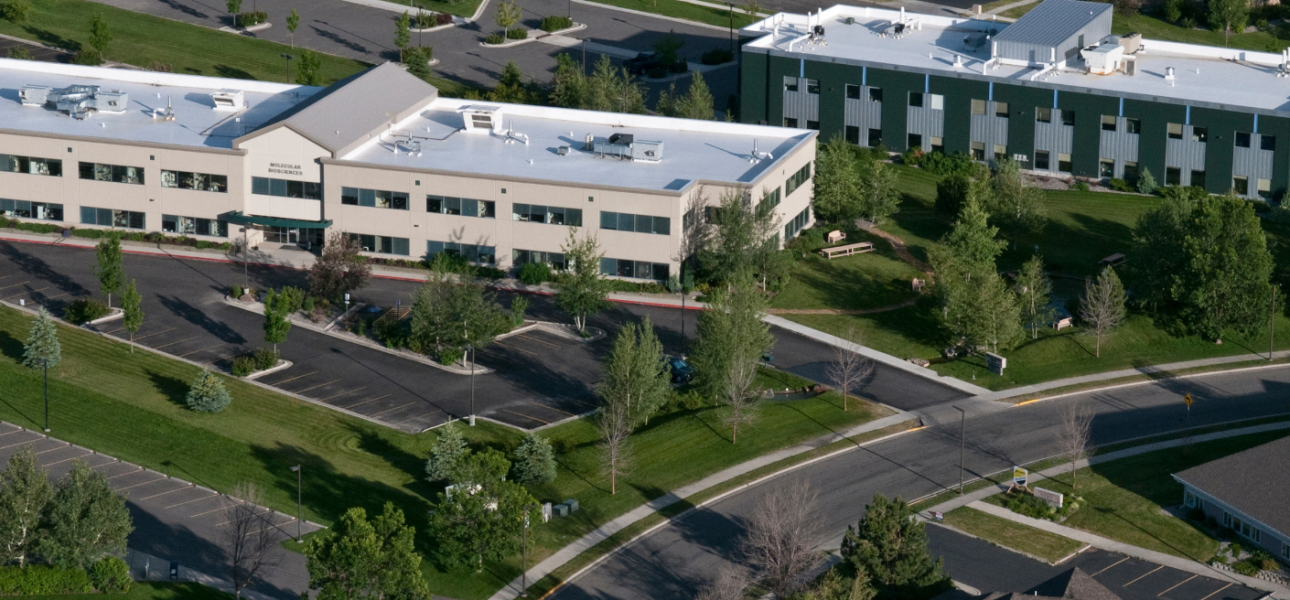 Molecular Biosciences _ Bozeman, MT _ 40,000 SF _ Office & Laboratory